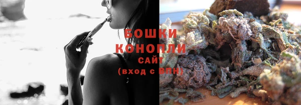 прущие грибы Алзамай