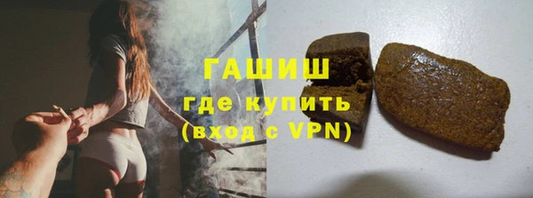 прущие грибы Алзамай