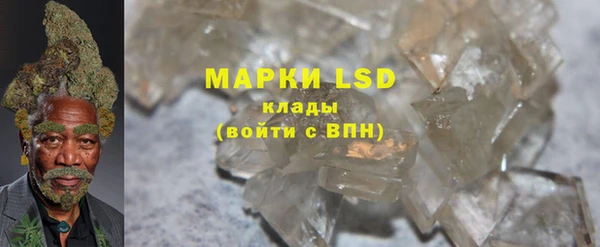 прущие грибы Алзамай