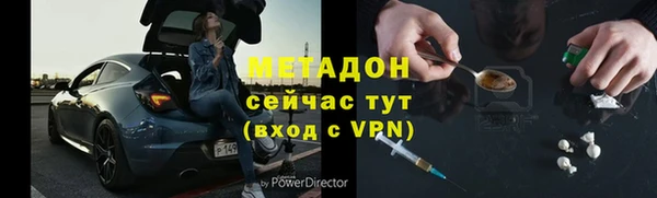 прущие грибы Алзамай