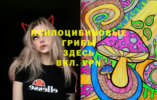 мяу мяу мука Алексеевка