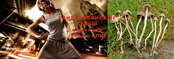 прущие грибы Алзамай