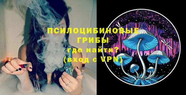 прущие грибы Алзамай