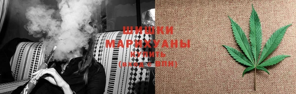 прущие грибы Алзамай